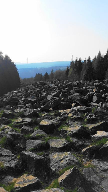 Landhaus Spanier Nonnweiler Buitenkant foto